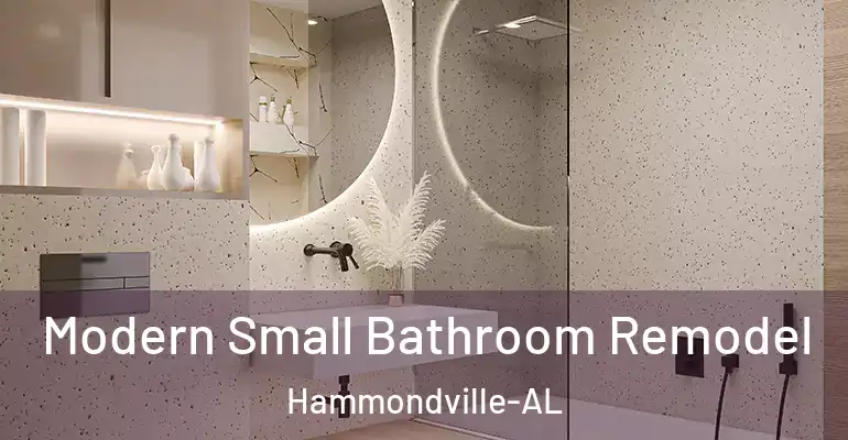 inner Bathroom imggen Modern Small Bathroom Remodel Hammondville-AL
