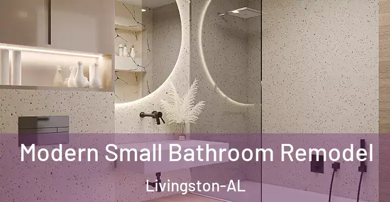 inner Bathroom imggen Modern Small Bathroom Remodel Livingston-AL