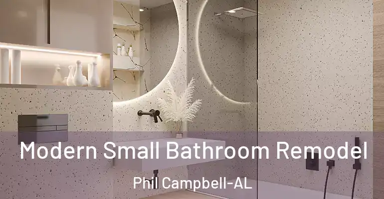 inner Bathroom imggen Modern Small Bathroom Remodel Phil Campbell-AL