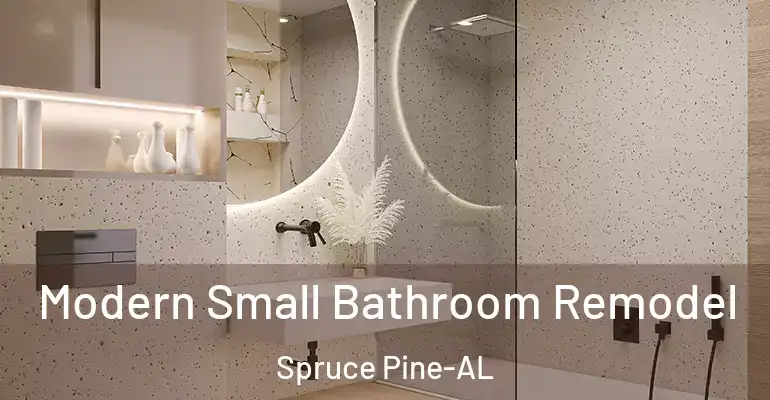 inner Bathroom imggen Modern Small Bathroom Remodel Spruce Pine-AL