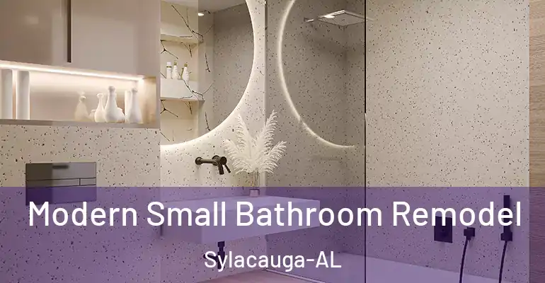 inner Bathroom imggen Modern Small Bathroom Remodel Sylacauga-AL