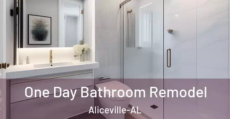 inner Bathroom imggen One Day Bathroom Remodel Aliceville-AL