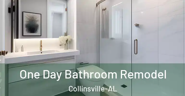 inner Bathroom imggen One Day Bathroom Remodel Collinsville-AL