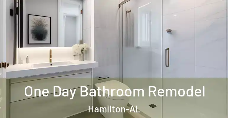 inner Bathroom imggen One Day Bathroom Remodel Hamilton-AL