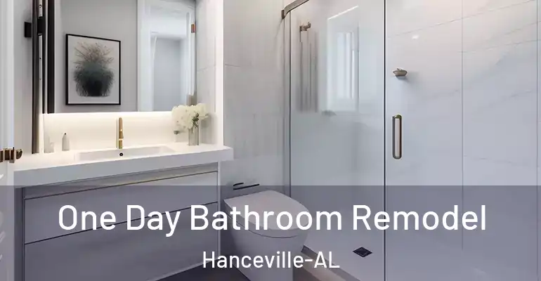 inner Bathroom imggen One Day Bathroom Remodel Hanceville-AL
