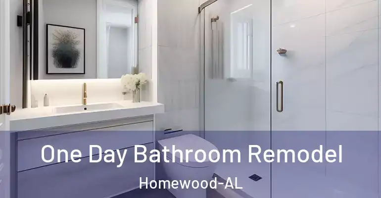 inner Bathroom imggen One Day Bathroom Remodel Homewood-AL