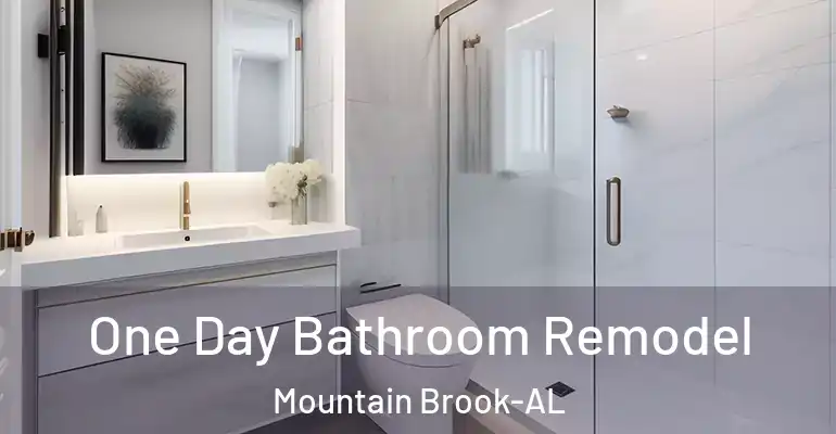 inner Bathroom imggen One Day Bathroom Remodel Mountain Brook-AL