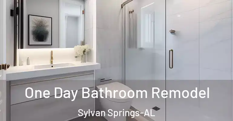 inner Bathroom imggen One Day Bathroom Remodel Sylvan Springs-AL
