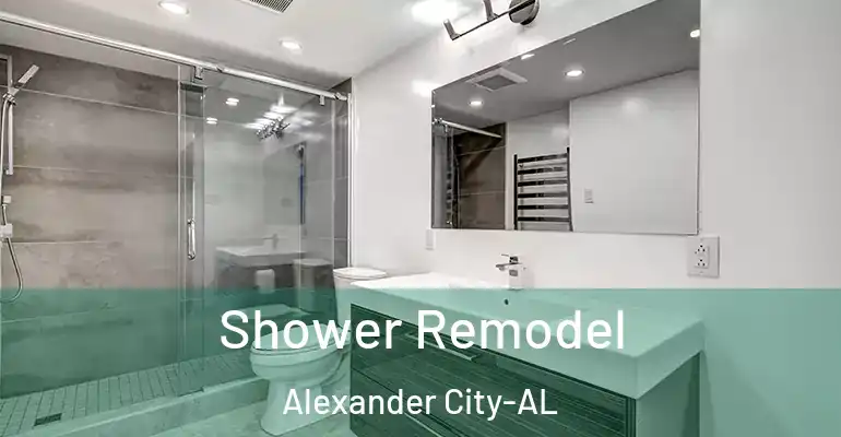 inner Bathroom imggen Shower Remodel Alexander City-AL