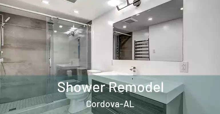 inner Bathroom imggen Shower Remodel Cordova-AL