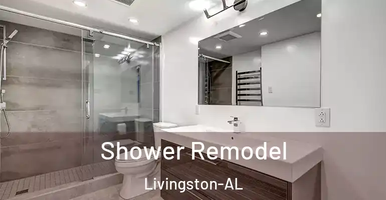 inner Bathroom imggen Shower Remodel Livingston-AL