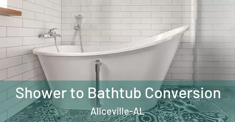 inner Bathroom imggen Shower to Bathtub Conversion Aliceville-AL