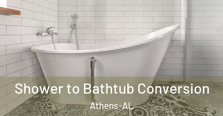 inner Bathroom imggen Shower to Bathtub Conversion Athens-AL