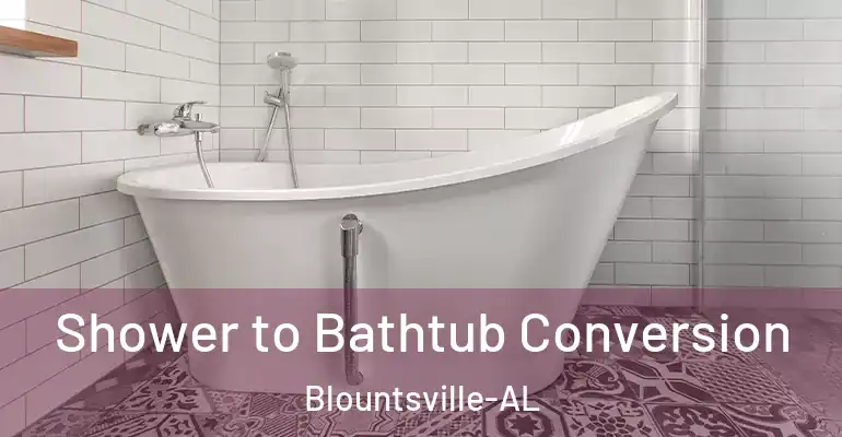 inner Bathroom imggen Shower to Bathtub Conversion Blountsville-AL