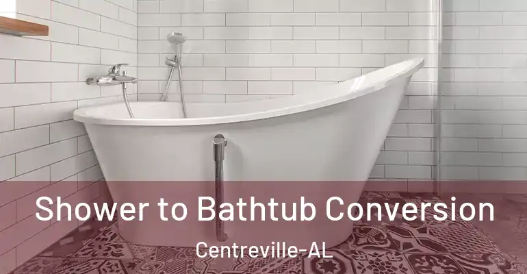inner Bathroom imggen Shower to Bathtub Conversion Centreville-AL