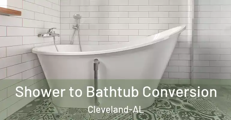 inner Bathroom imggen Shower to Bathtub Conversion Cleveland-AL