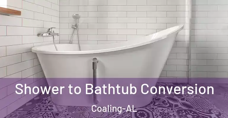 inner Bathroom imggen Shower to Bathtub Conversion Coaling-AL