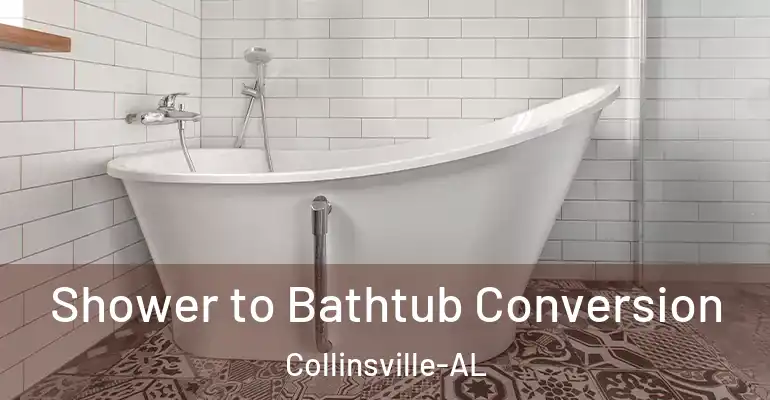 inner Bathroom imggen Shower to Bathtub Conversion Collinsville-AL