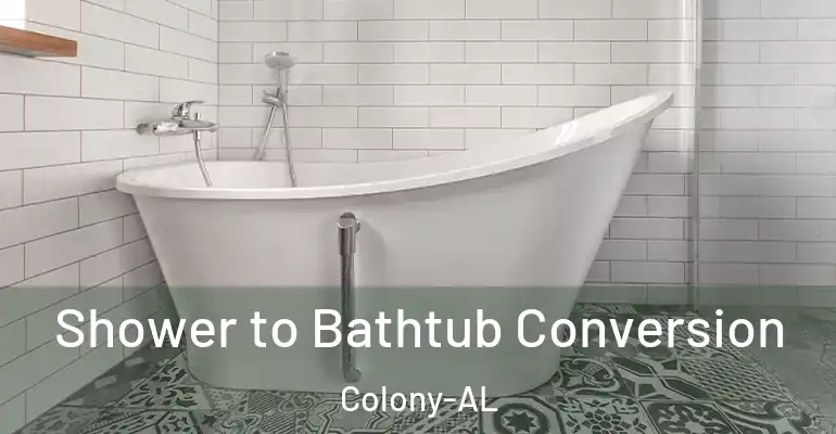 inner Bathroom imggen Shower to Bathtub Conversion Colony-AL