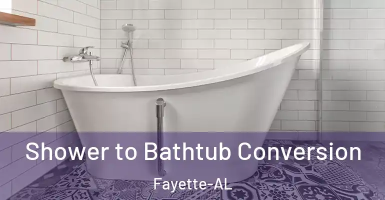 inner Bathroom imggen Shower to Bathtub Conversion Fayette-AL