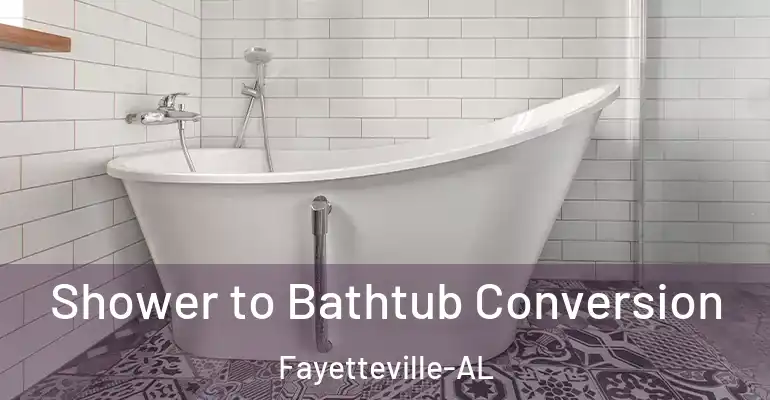 inner Bathroom imggen Shower to Bathtub Conversion Fayetteville-AL