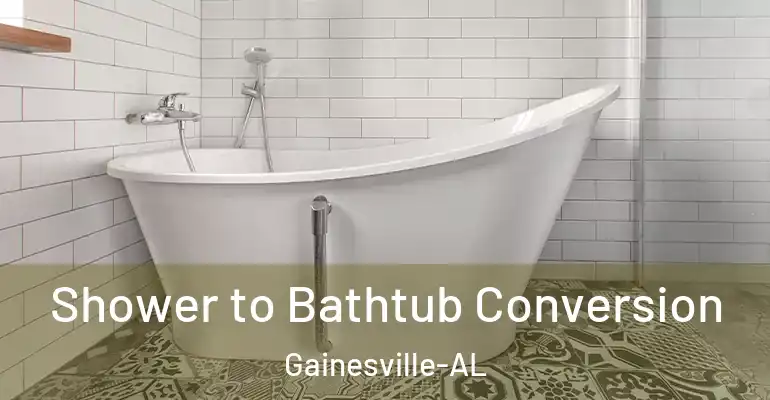 inner Bathroom imggen Shower to Bathtub Conversion Gainesville-AL