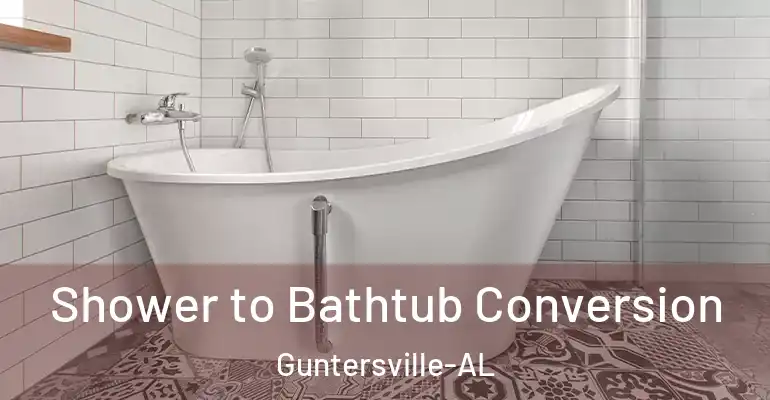 inner Bathroom imggen Shower to Bathtub Conversion Guntersville-AL
