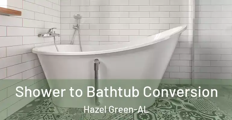 inner Bathroom imggen Shower to Bathtub Conversion Hazel Green-AL