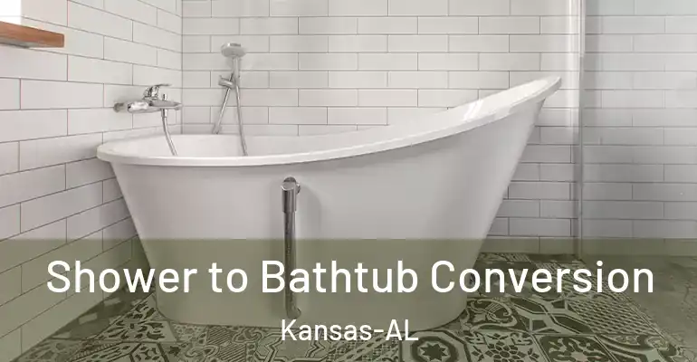inner Bathroom imggen Shower to Bathtub Conversion Kansas-AL