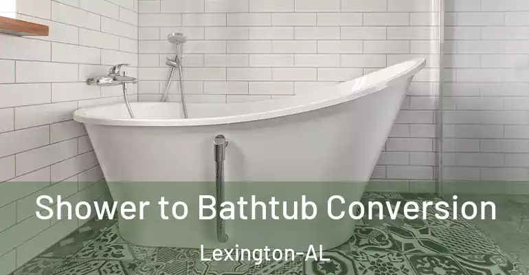 inner Bathroom imggen Shower to Bathtub Conversion Lexington-AL