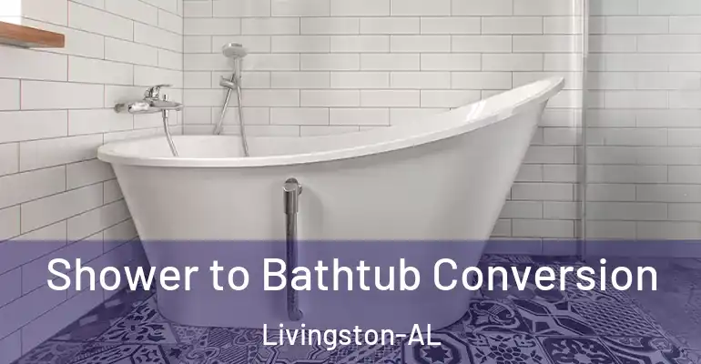 inner Bathroom imggen Shower to Bathtub Conversion Livingston-AL