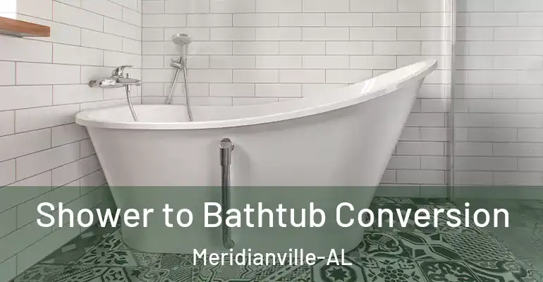 inner Bathroom imggen Shower to Bathtub Conversion Meridianville-AL