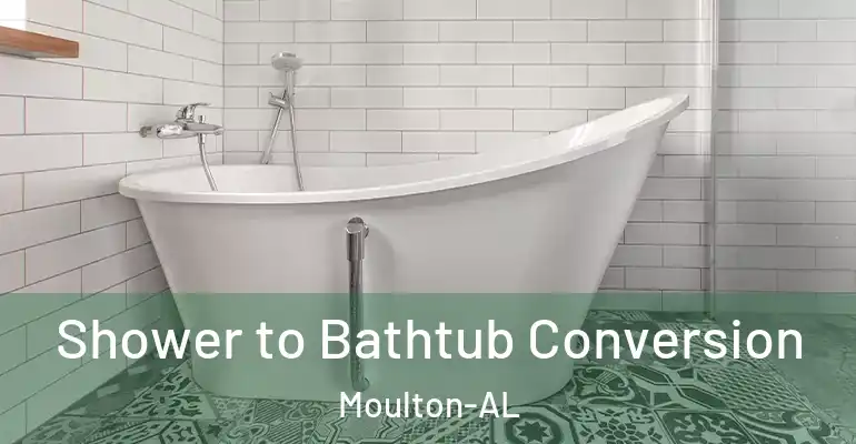 inner Bathroom imggen Shower to Bathtub Conversion Moulton-AL
