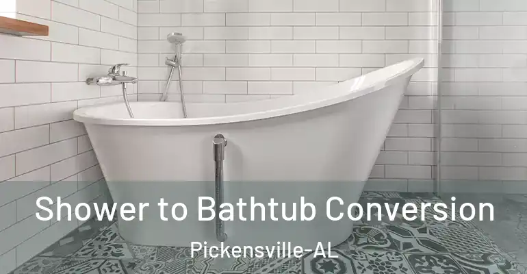 inner Bathroom imggen Shower to Bathtub Conversion Pickensville-AL
