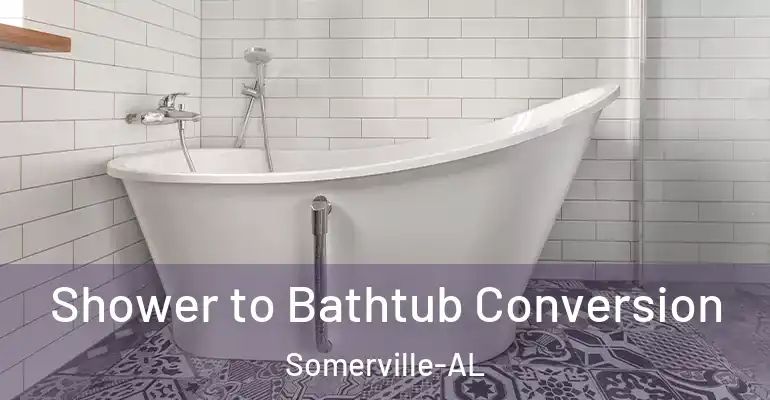 inner Bathroom imggen Shower to Bathtub Conversion Somerville-AL