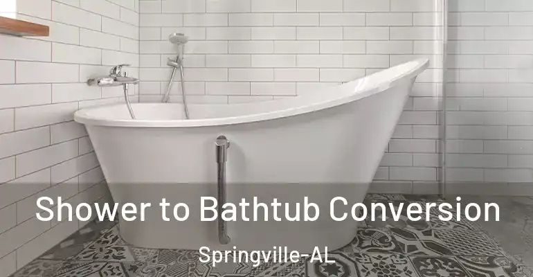 inner Bathroom imggen Shower to Bathtub Conversion Springville-AL