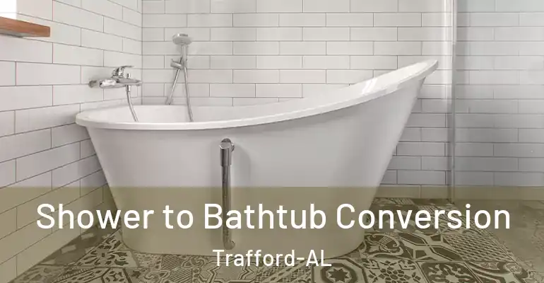 inner Bathroom imggen Shower to Bathtub Conversion Trafford-AL
