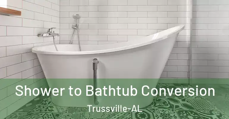 inner Bathroom imggen Shower to Bathtub Conversion Trussville-AL