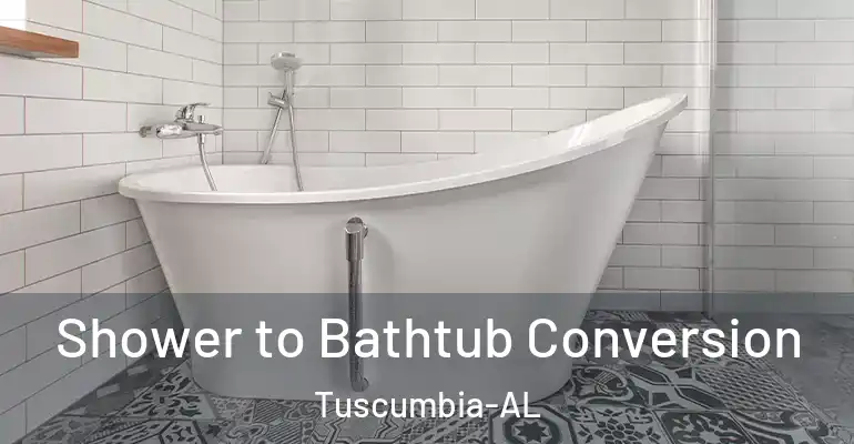 inner Bathroom imggen Shower to Bathtub Conversion Tuscumbia-AL