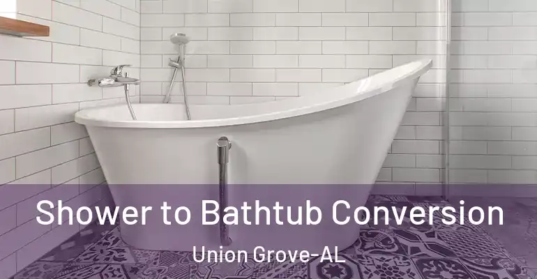inner Bathroom imggen Shower to Bathtub Conversion Union Grove-AL