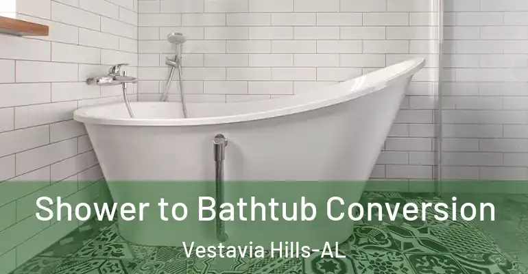 inner Bathroom imggen Shower to Bathtub Conversion Vestavia Hills-AL