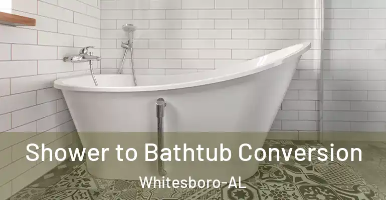 inner Bathroom imggen Shower to Bathtub Conversion Whitesboro-AL