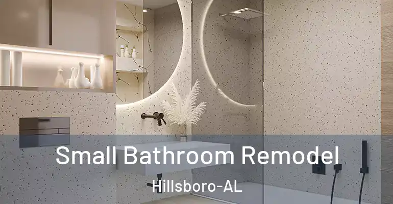 inner Bathroom imggen Small Bathroom Remodel Hillsboro-AL