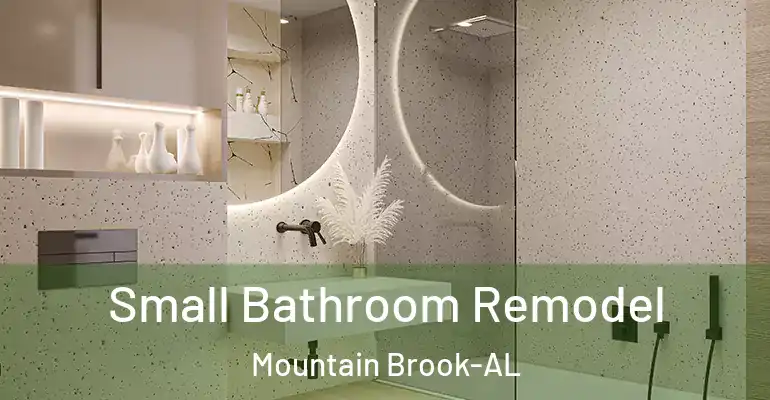 inner Bathroom imggen Small Bathroom Remodel Mountain Brook-AL