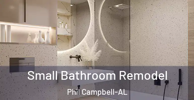 inner Bathroom imggen Small Bathroom Remodel Phil Campbell-AL