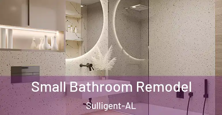 inner Bathroom imggen Small Bathroom Remodel Sulligent-AL