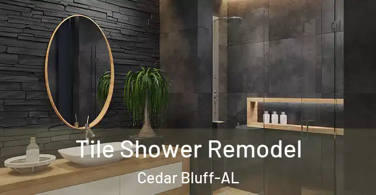 inner Bathroom imggen Tile Shower Remodel Cedar Bluff-AL