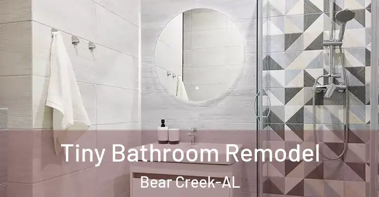 inner Bathroom imggen Tiny Bathroom Remodel Bear Creek-AL