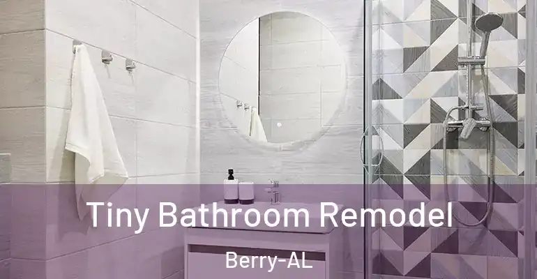 inner Bathroom imggen Tiny Bathroom Remodel Berry-AL