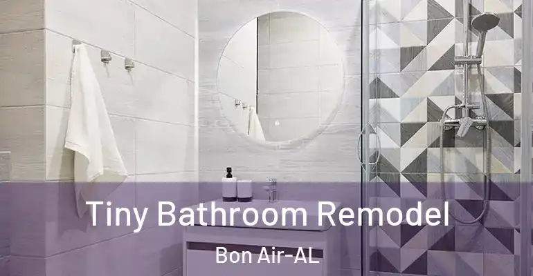 inner Bathroom imggen Tiny Bathroom Remodel Bon Air-AL